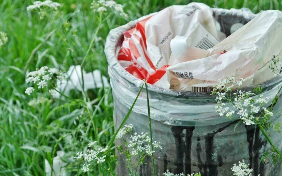 1610092553garbage can 1423840 1920 1610092553garbage can 1423840 1920